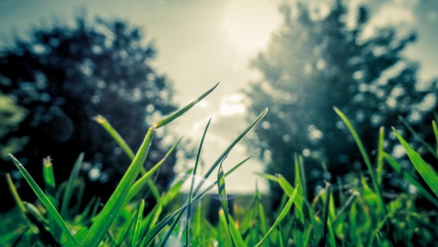7 Steps to Prepare Your House for a Spring Sale